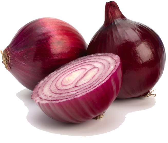 Onion Half Free Photo PNG Image