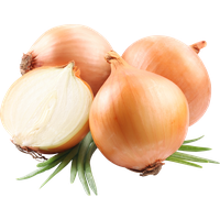Onion Half Free Photo PNG