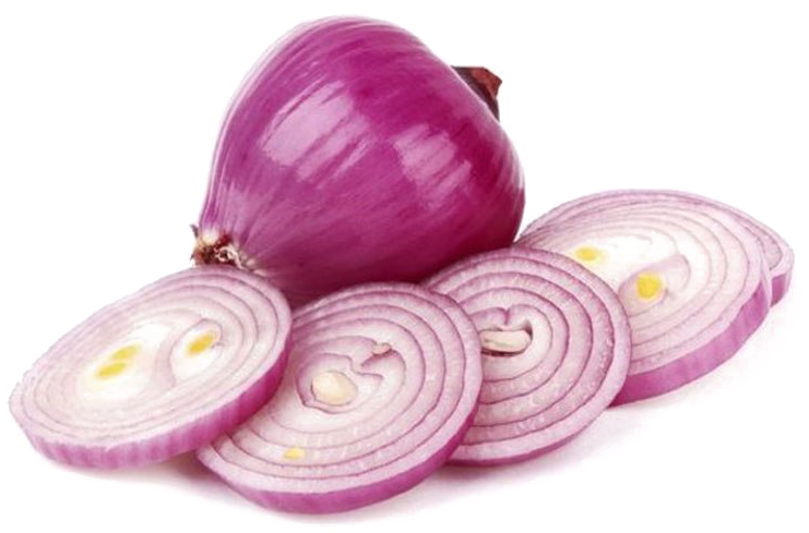 Slice Onion Free PNG HQ PNG Image