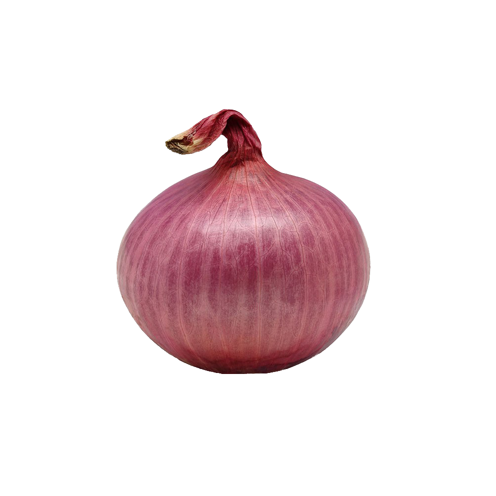 Onion Free Transparent Image HD PNG Image