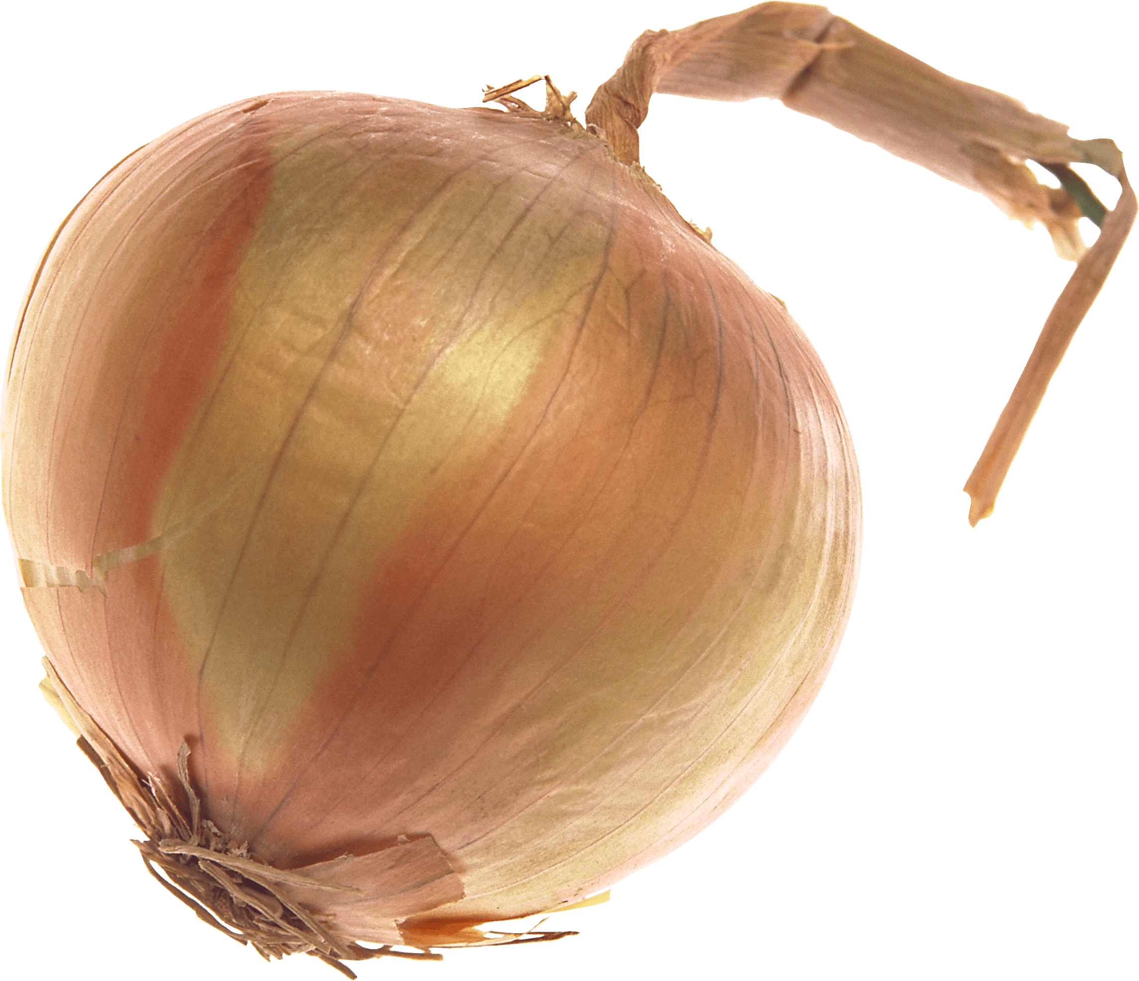 Onion Png Image PNG Image