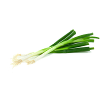 Green Onion Transparent PNG