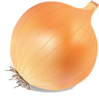 31801-5-onion-vector-transparent-image-thumb.png