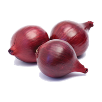 Download Onion Free PNG photo images and clipart | FreePNGimg