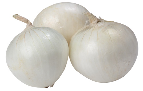 White Onion PNG Image