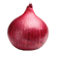 Red Onion File PNG