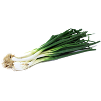 Green Onion Image PNG