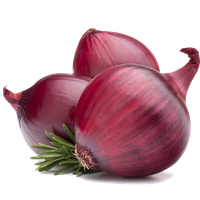 Red Onion Hd PNG