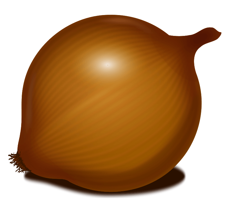 Onion Png Image Download Picture PNG Image