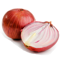 Onion Picture PNG