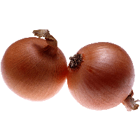 Onion Png Image Download Picture