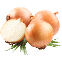 Onion Png Image