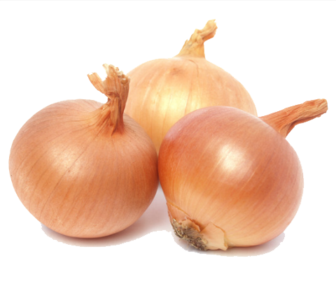 Onion Png Picture PNG Image