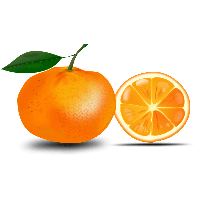 Download Orange Free PNG photo images and clipart | FreePNGImg