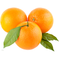 Orange Png Picture PNG