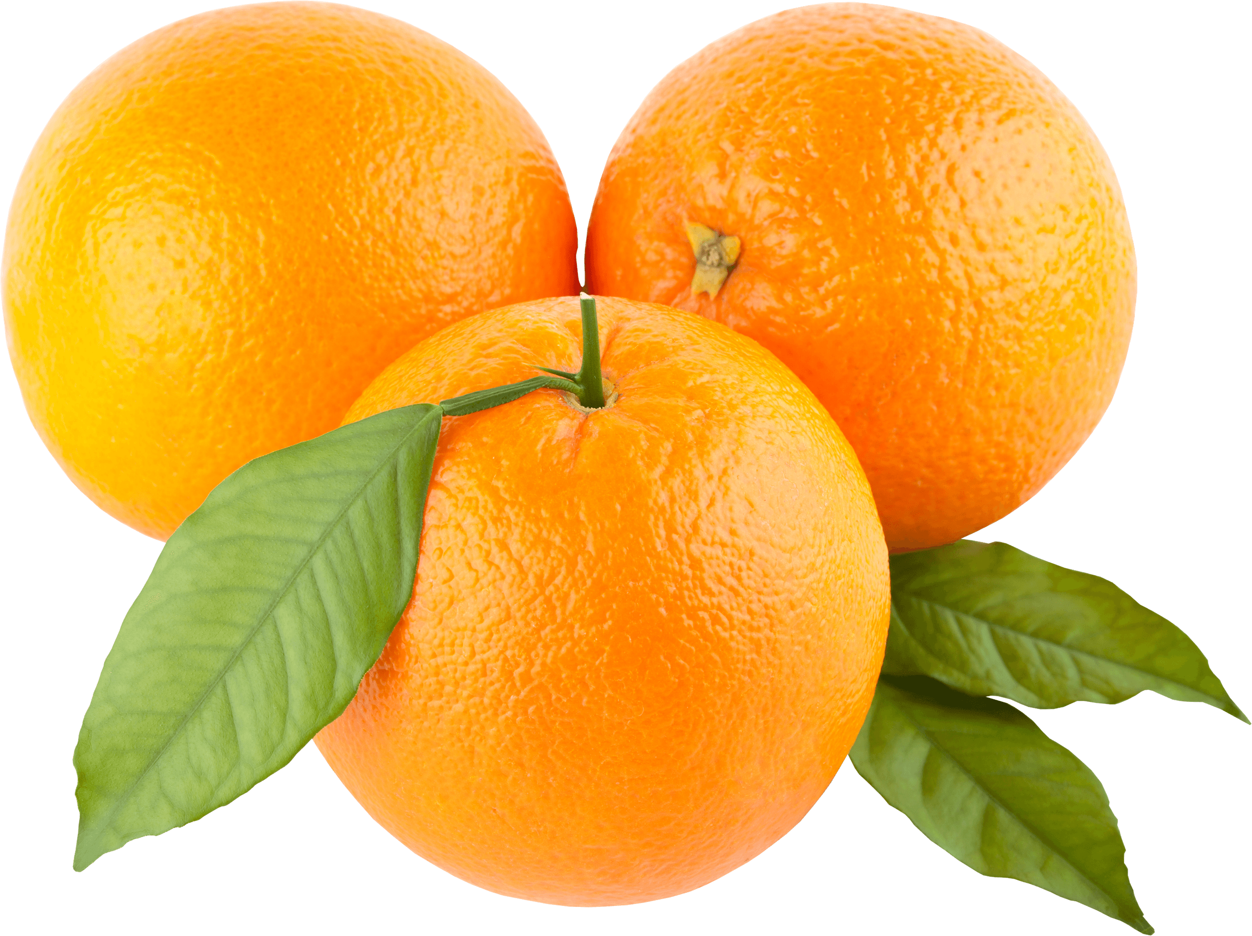 orange png