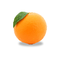 Orange Png Image Download PNG