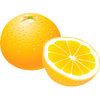 Download Orange Free PNG photo images and clipart | FreePNGimg