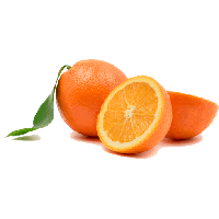 Download Orange Free PNG photo images and clipart | FreePNGImg