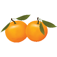 Orange Png Image Download PNG