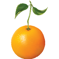 Orange Png Image Download PNG