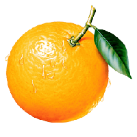 Orange Png Image Download PNG
