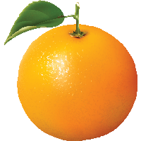 Orange Png Image Download PNG Image