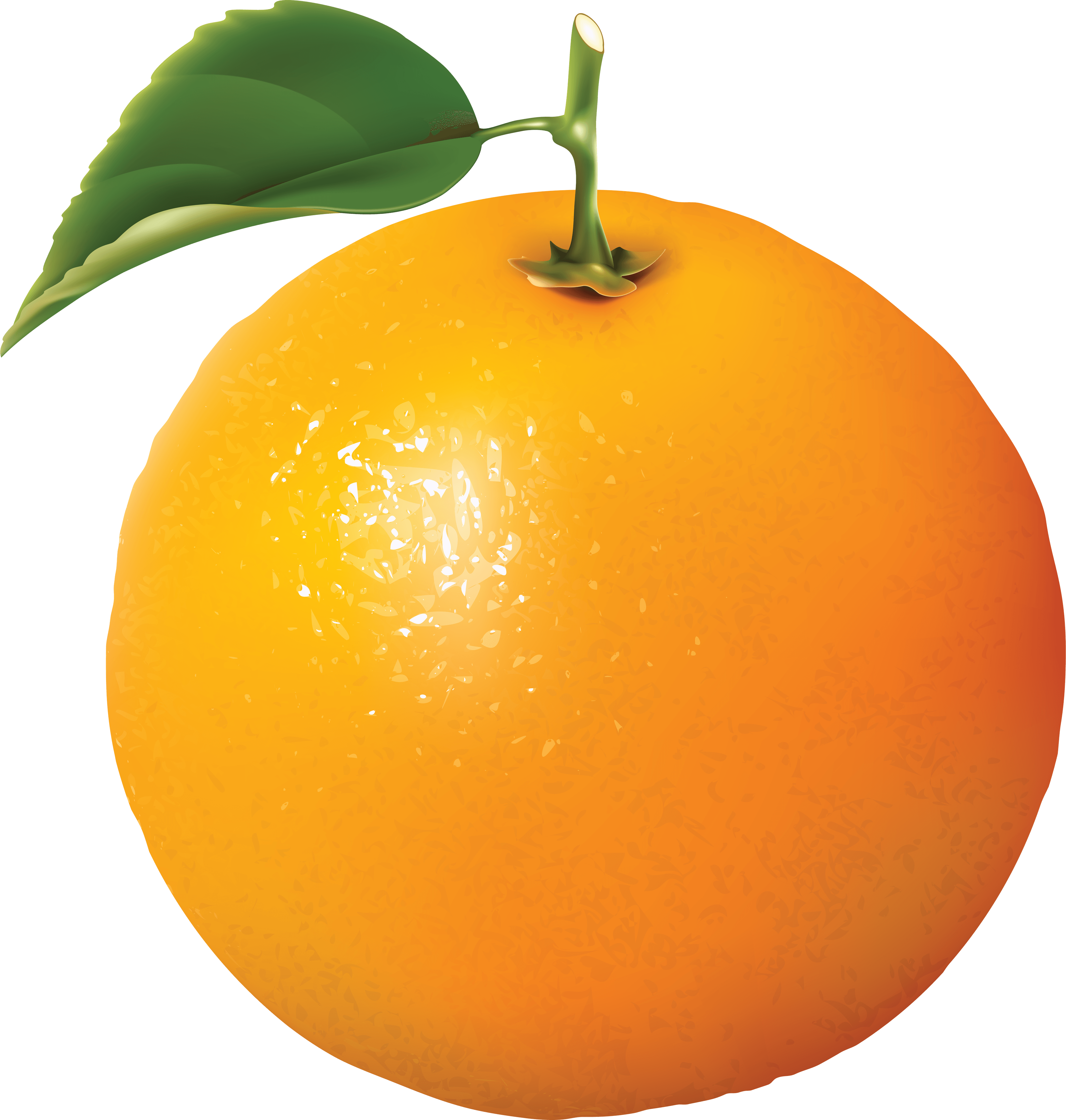 Апельсины картинка на прозрачном. Апельсин. Апельсин на белом фоне. Апельсин на прозрачном фоне. Апельсин фрукт.