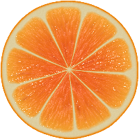 Orange Png Image Download PNG Image