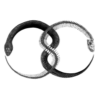 Images Tattoo Symbol Ouroboros Transparent PNG Download Free PNG Image