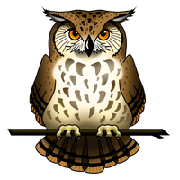 Owl Picture PNG