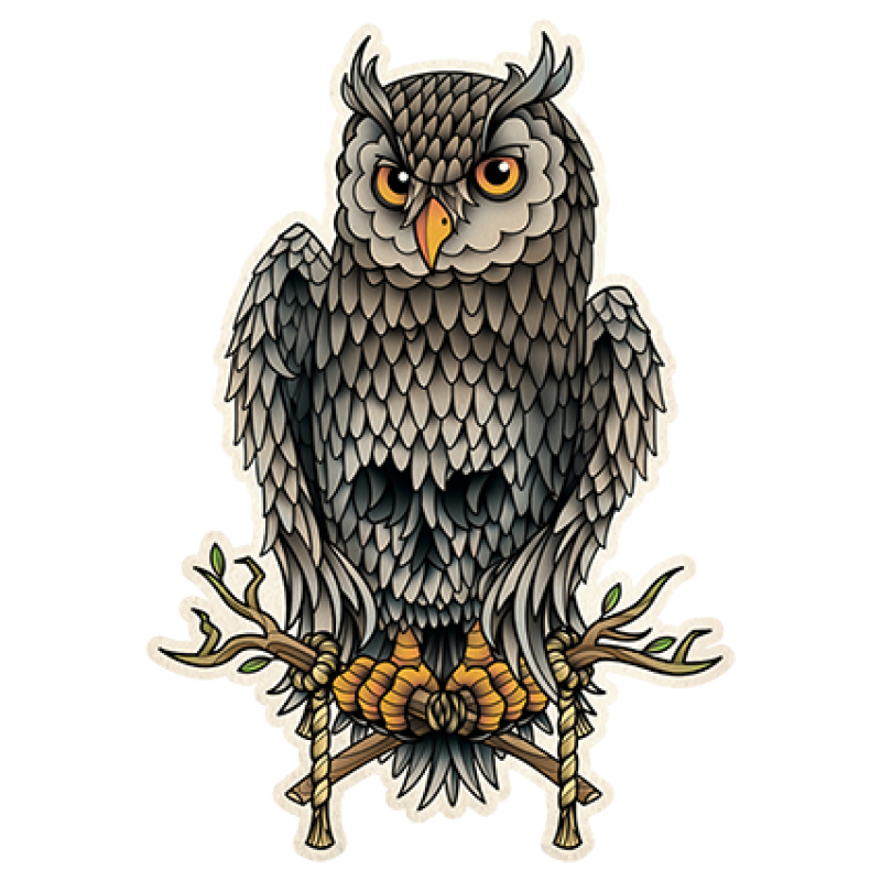 Owl School Old Skull Tattoo Flash (Tattoo) PNG Image