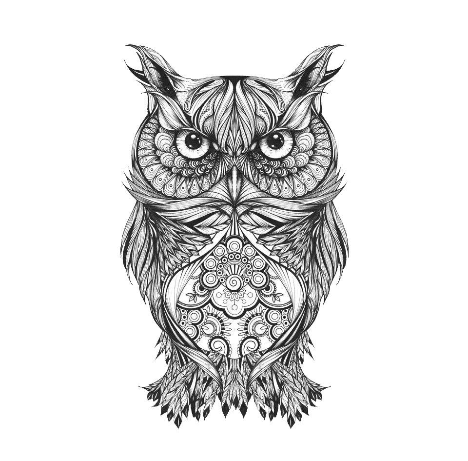 Body Owl Sketch Art Tattoo Drawing PNG Image