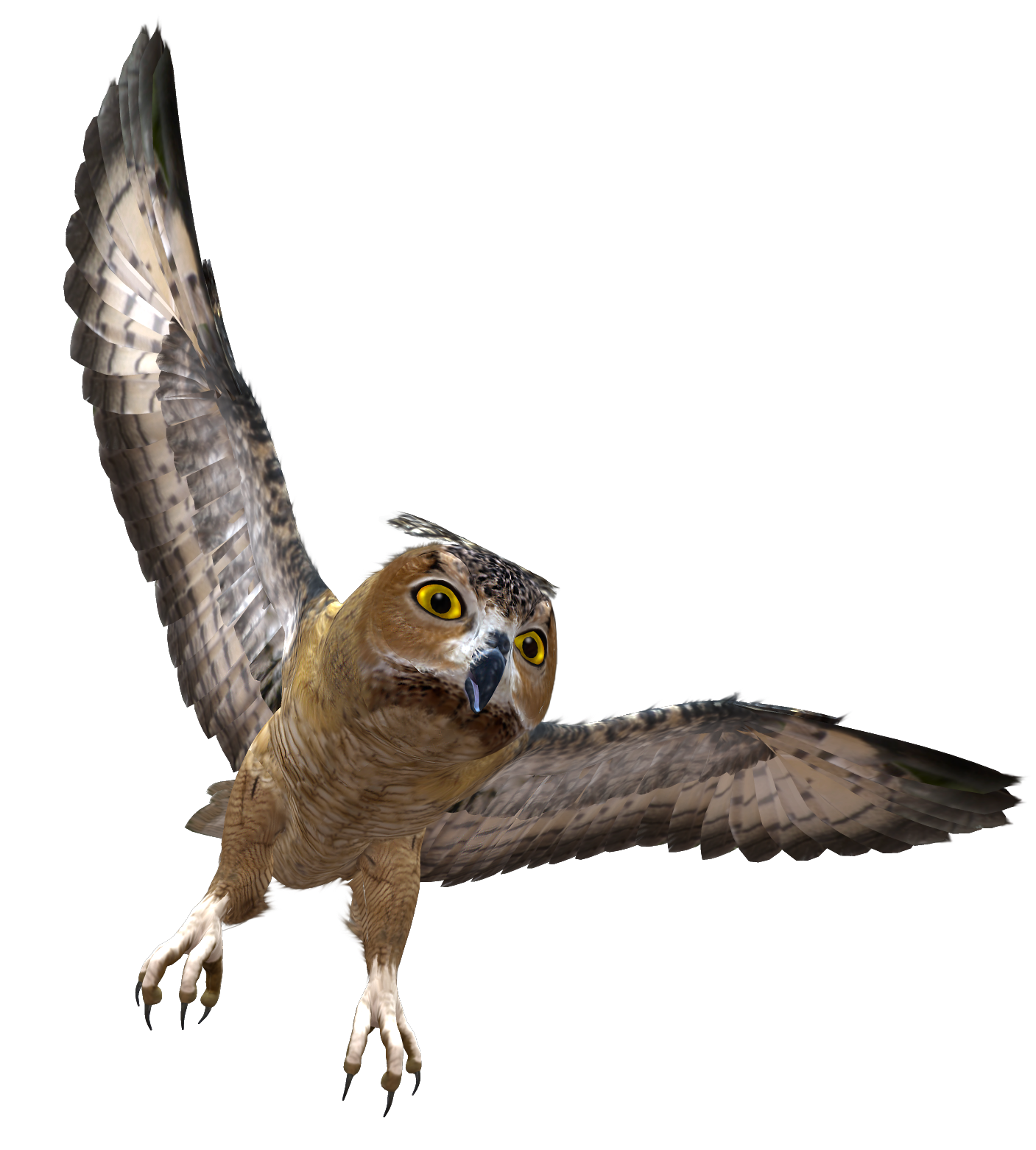 Owl Transparent PNG Image