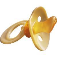 Pacifier PNG