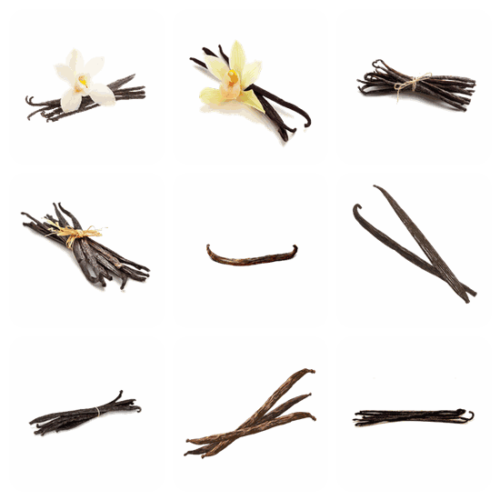 Vanilla PNG pack preview