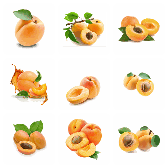 Apricot PNG pack preview