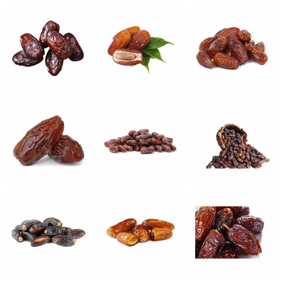 Date Palm PNG pack preview