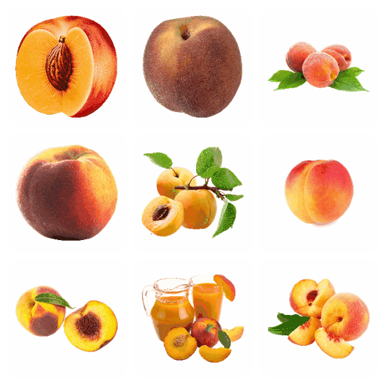 Peach PNG pack preview