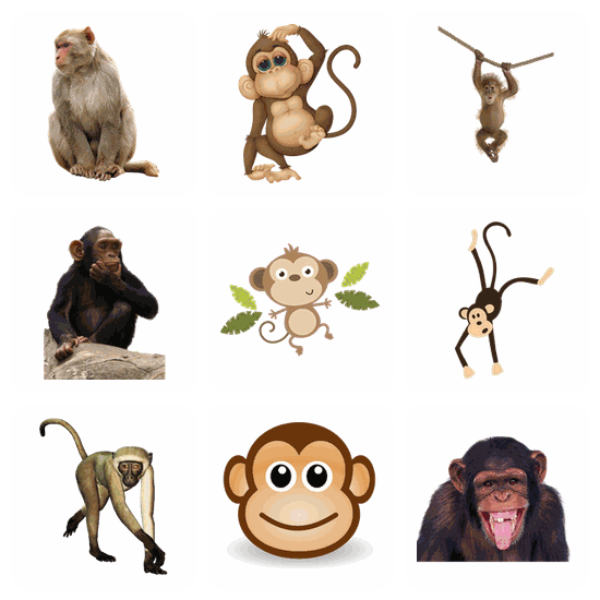 Monkey PNG pack preview