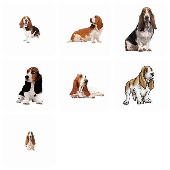 Basset Hound PNG pack preview