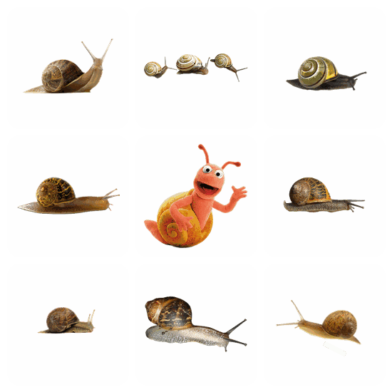 Snail PNG pack preview