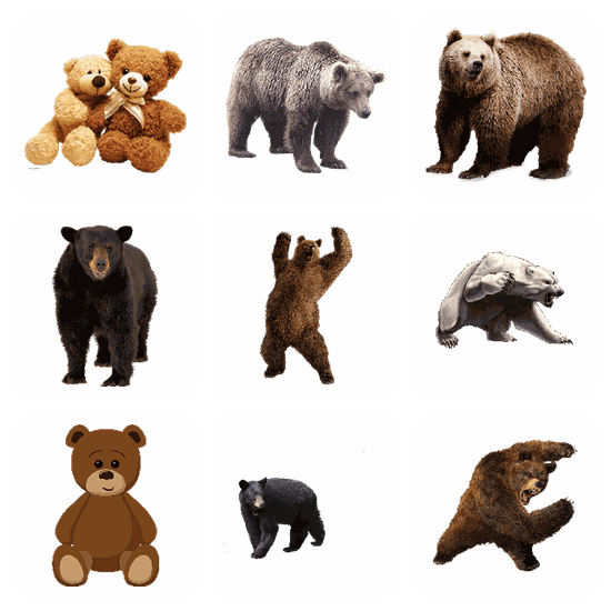 Bear PNG pack preview