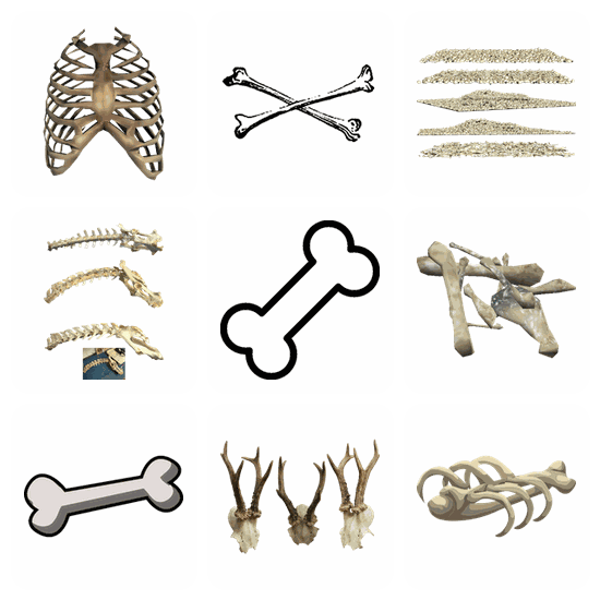 Bones PNG pack preview