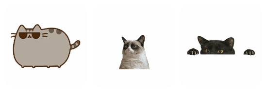 Cat PNG pack preview