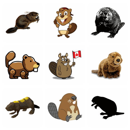 Beaver PNG pack preview