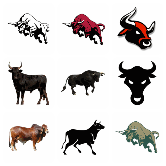 Bull PNG pack preview