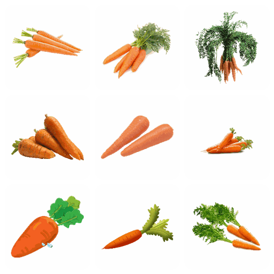 Carrot PNG pack preview