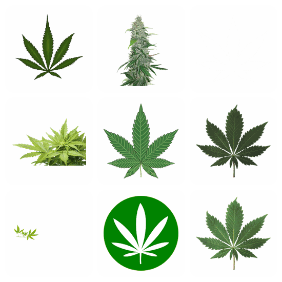 Cannabis PNG pack preview