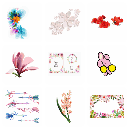 Flower PNG pack preview